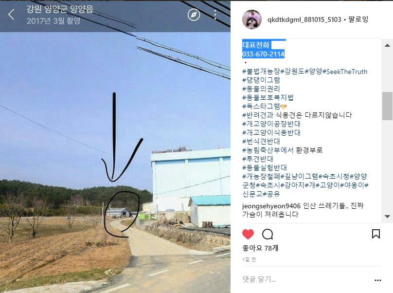 개도살장 제보합니다