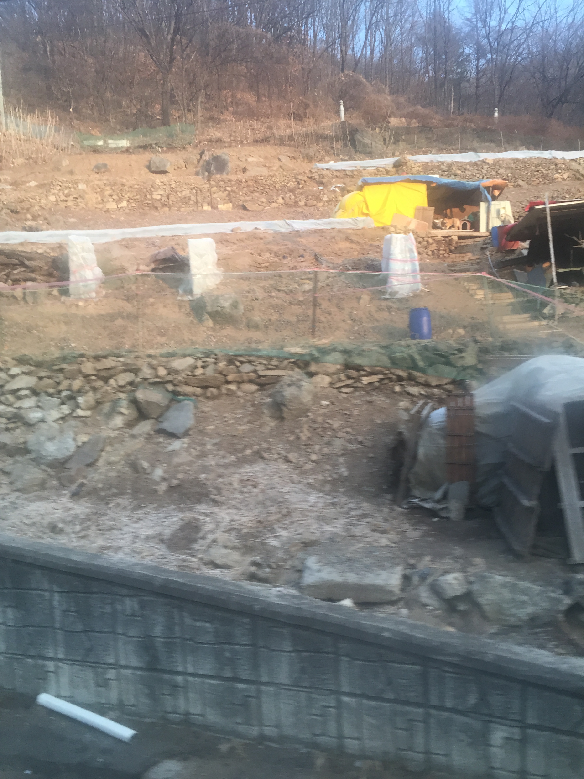 이제는 긴줄에 자유롭게 살수있도록 부탁드립니다.....