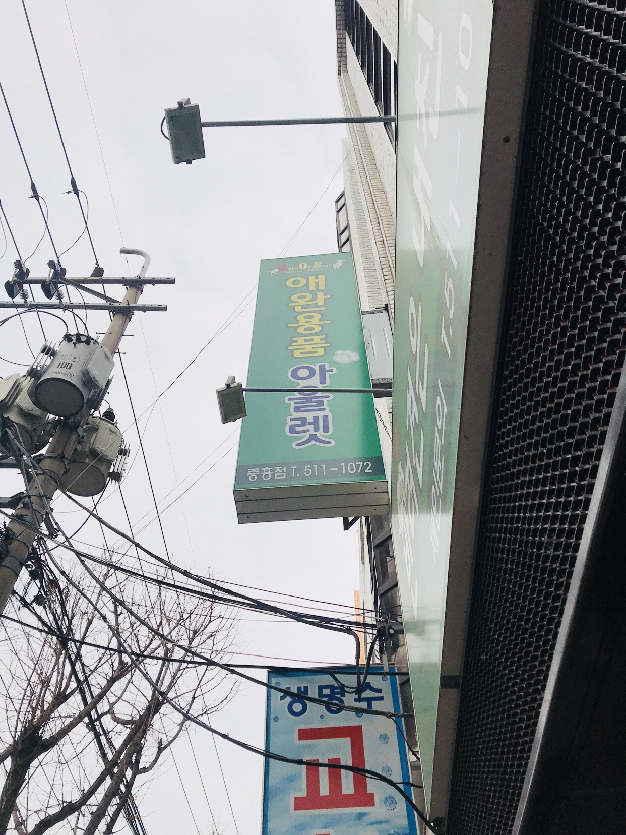 강아지들을 굶기고 잇는것같아서요...