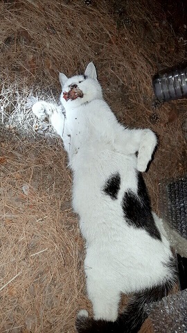 아래 글, 사진이 용량이 커서 다시 올리겟습니다