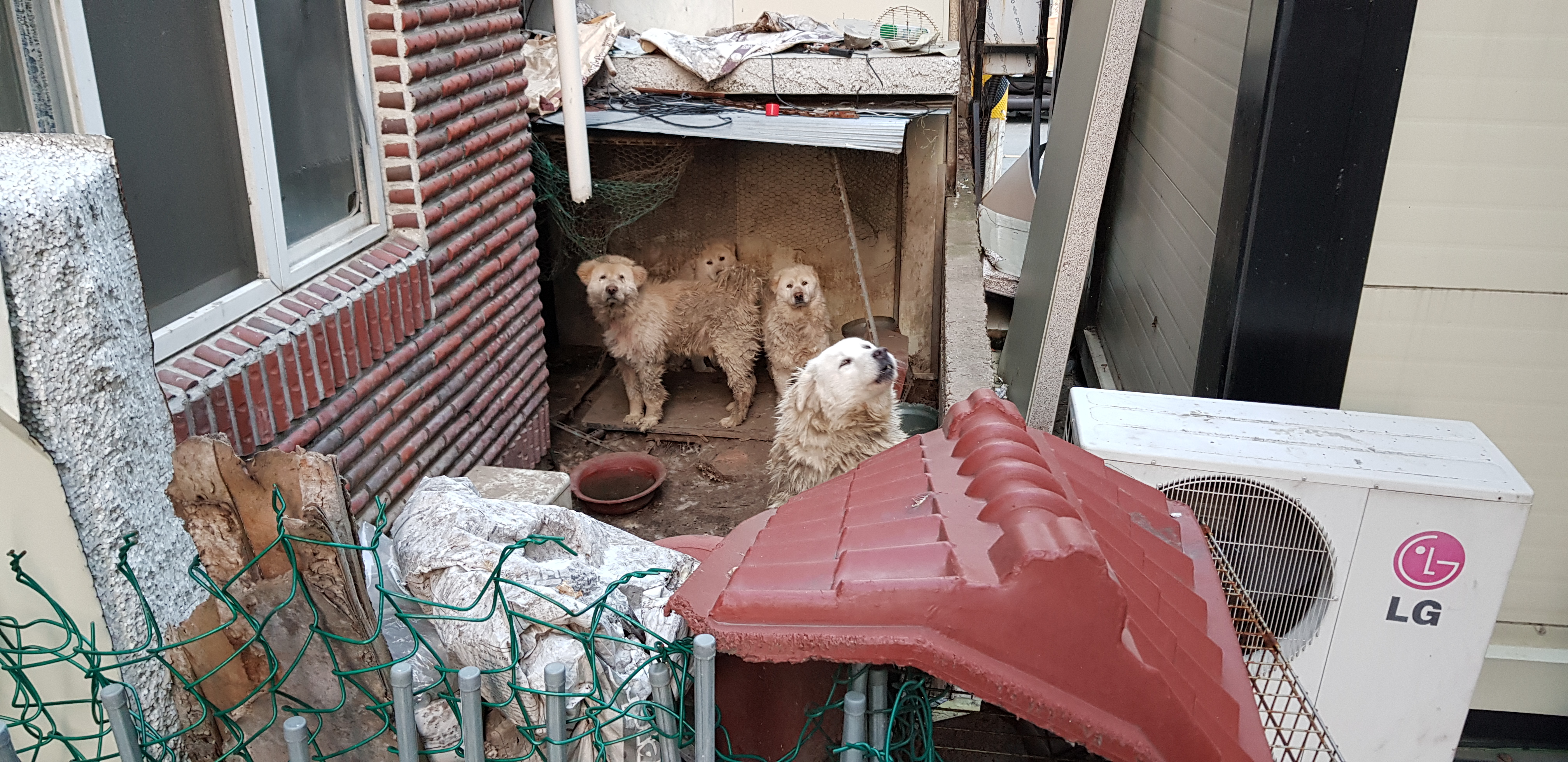 이런거도 신고가 되는지요