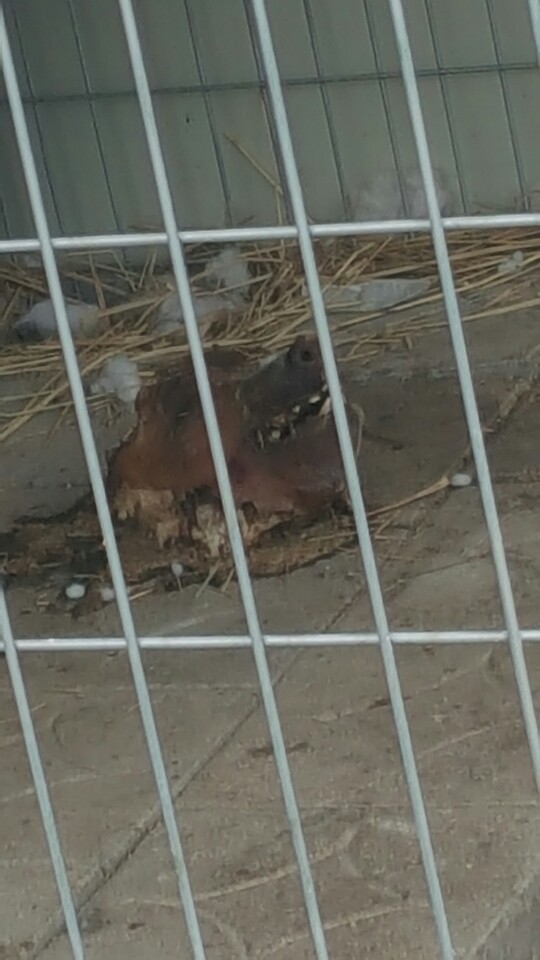 센터입구