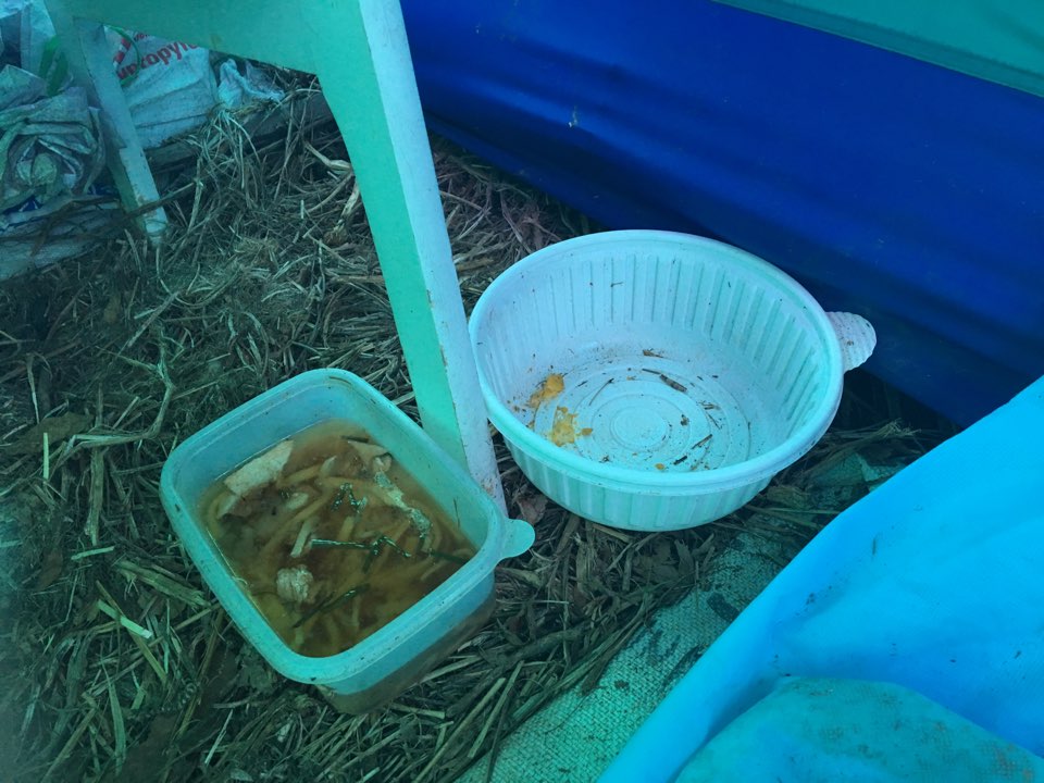열악한 환경에 방치되어있는 강아지