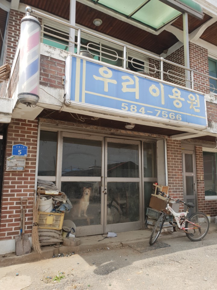 동물유기및 학대