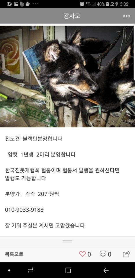 카페에서 보고 신고합니다