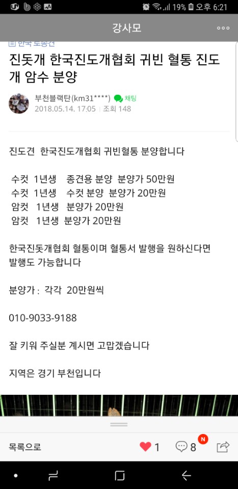 카페에서 보고 신고합니다