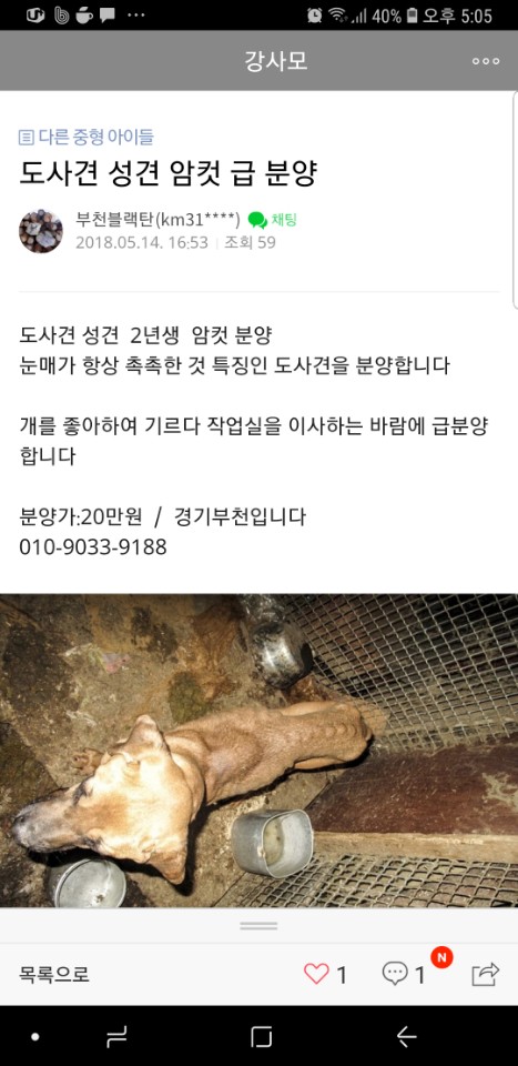 카페에서 보고 신고합니다