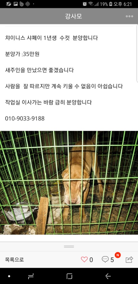 카페에서 보고 신고합니다