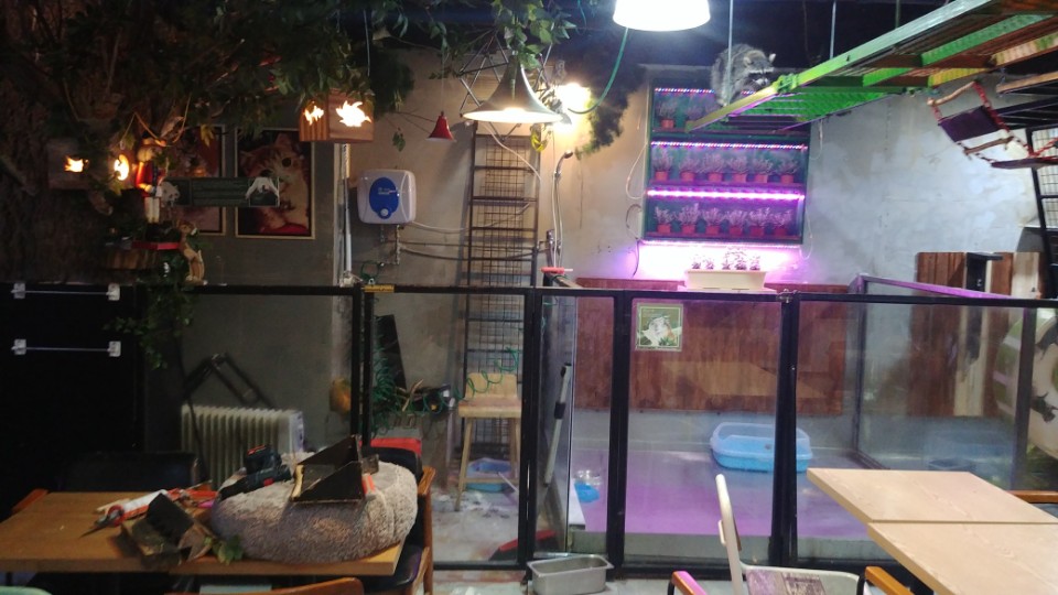 심각한 동물카페 제보합니다.