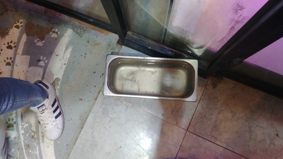 심각한 동물카페 제보합니다.