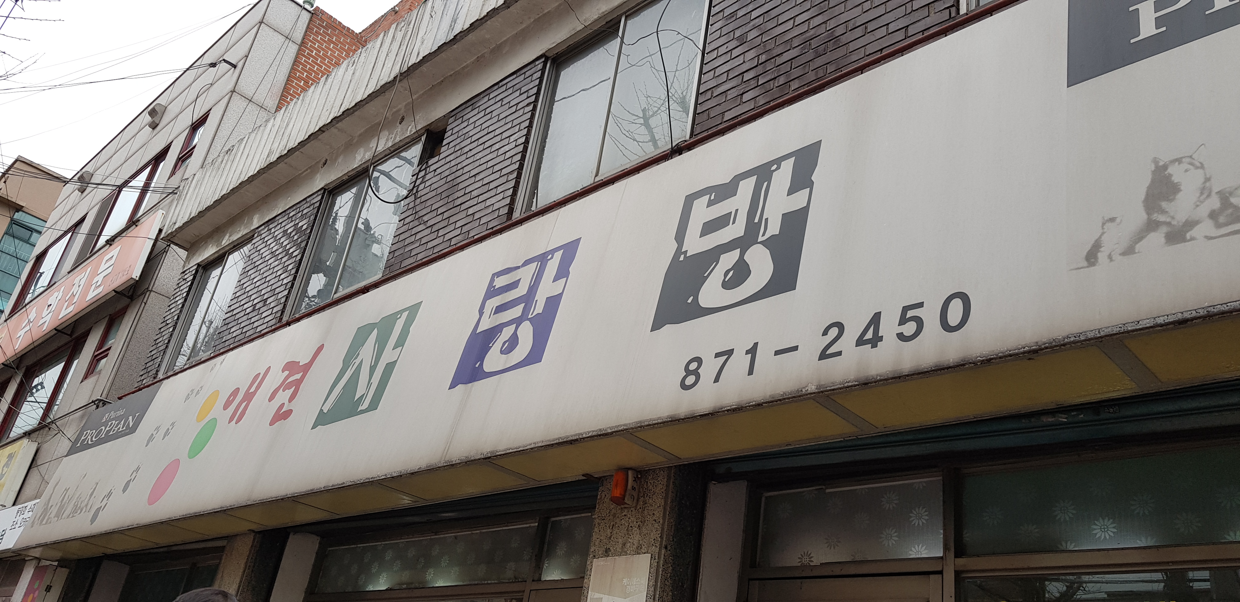 펫샵 고양이가 눈이 아파요