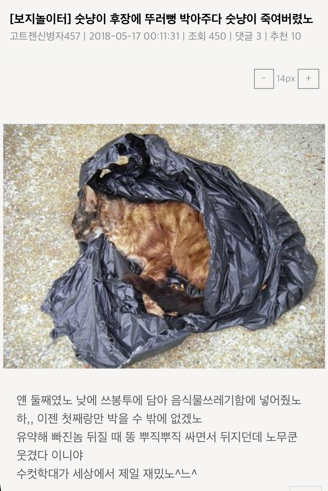 워마드 동물학대 