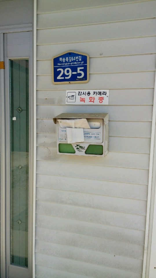 개가 방치되어 죽어있습니다.