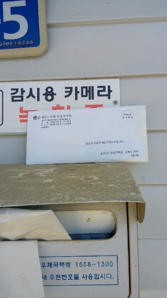 개가 방치되어 죽어있습니다.