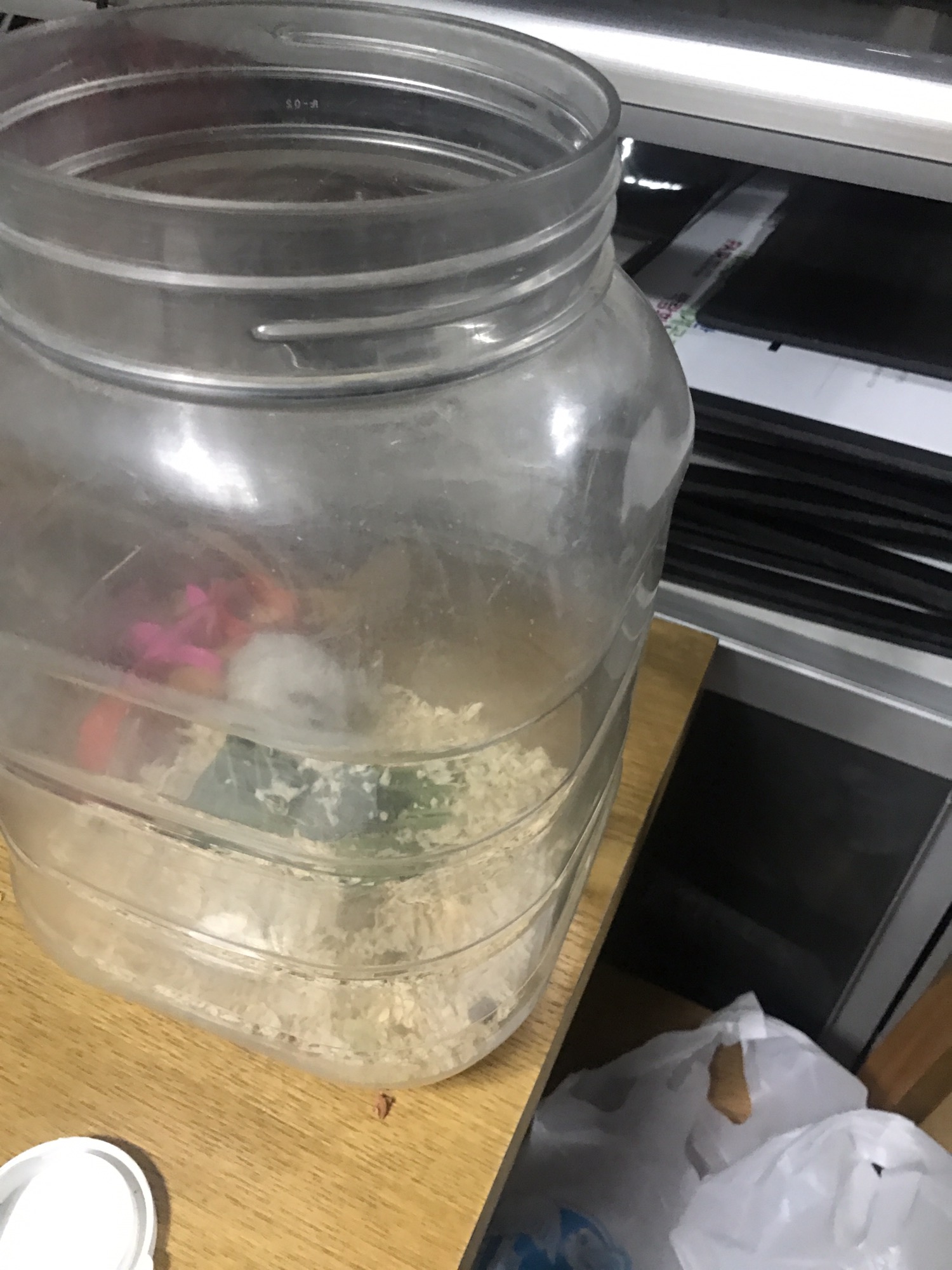 대림동 사건