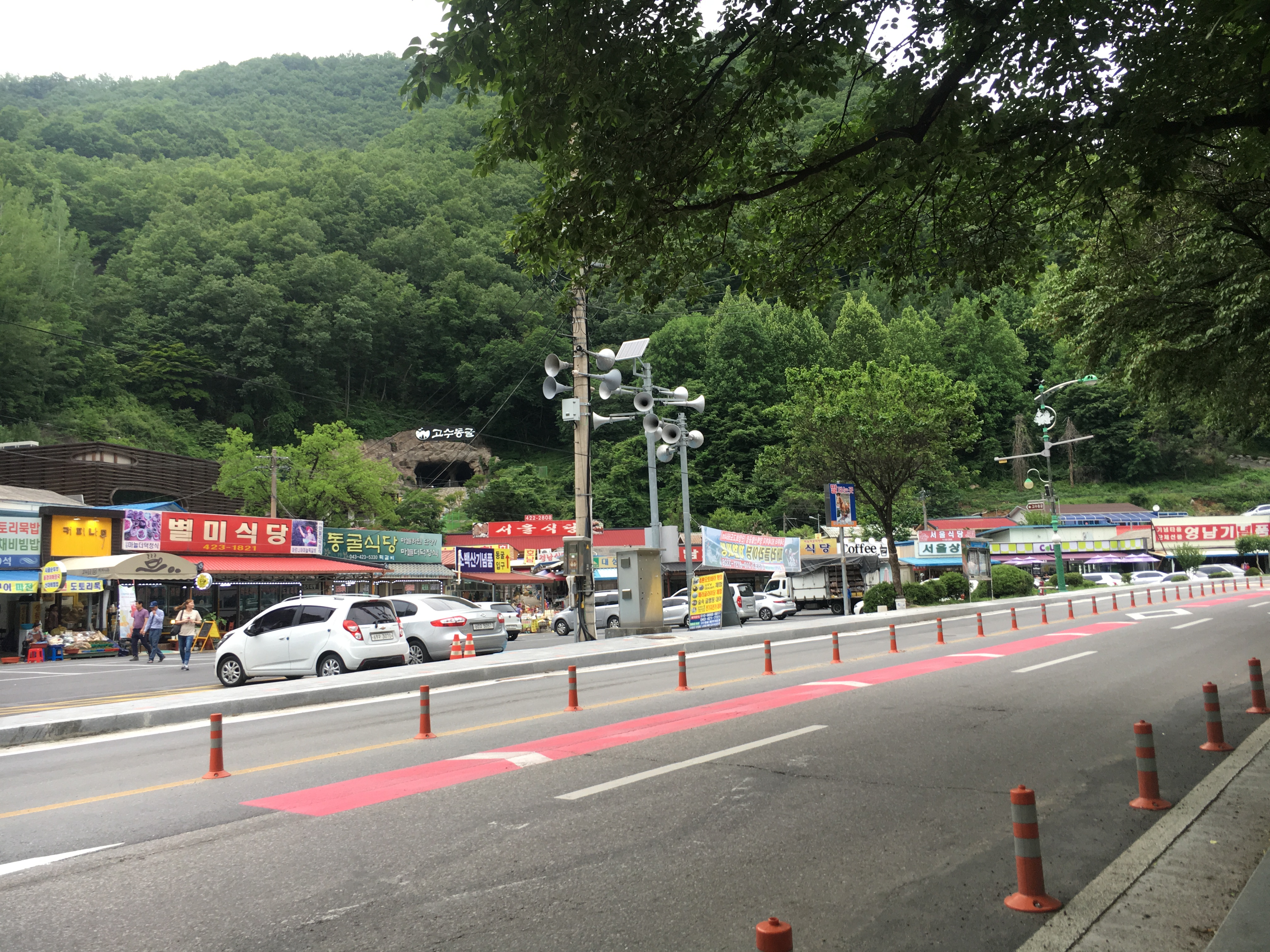 도로가에 말..