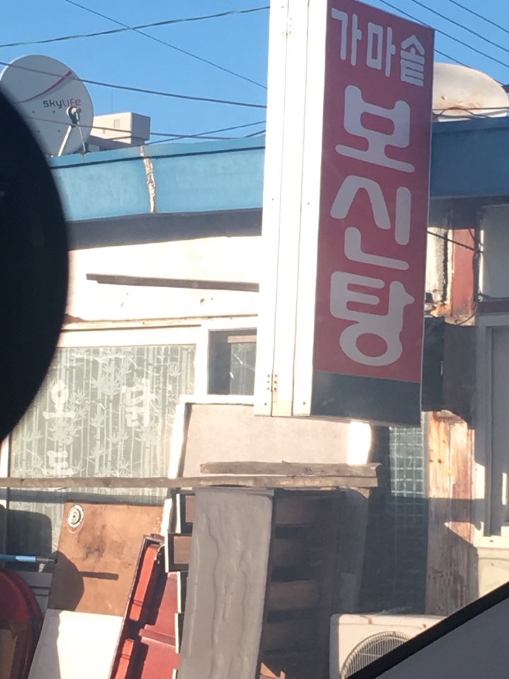 식당근처 묶여 사는 고양이