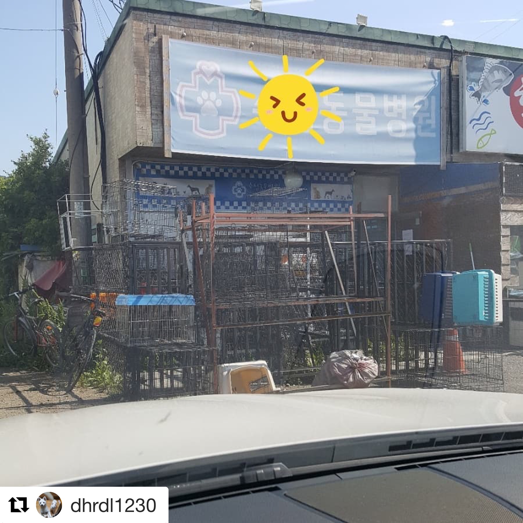 경기지역 시보호소 관련