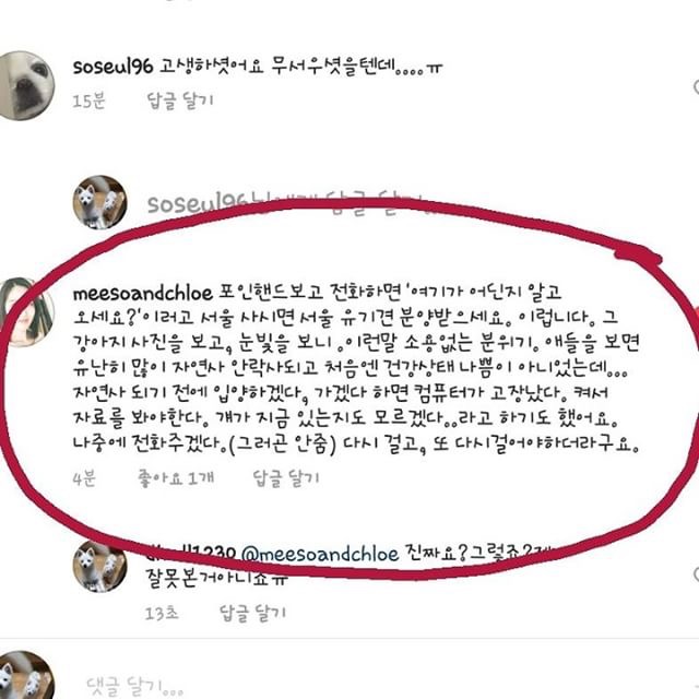 경기지역 시보호소 관련
