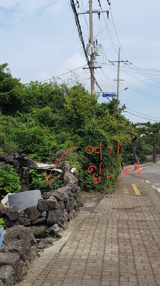 쓰래기장 공터에 짧은줄로 묶여있는 개