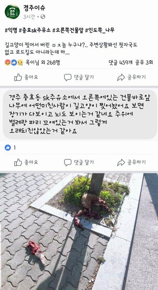 경주 길고양이 사지절단 학대