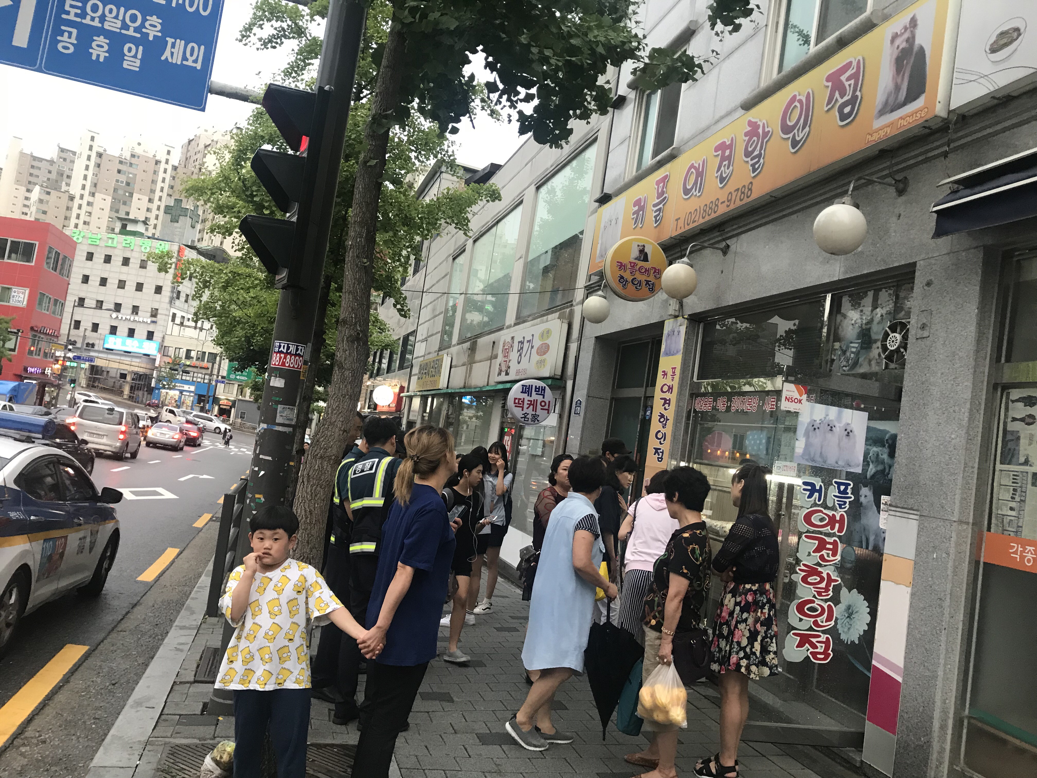 건물주와의 분쟁때문에 폐업된 애견샵에서 강아지 5마리가 죽어가고 있습니다. 