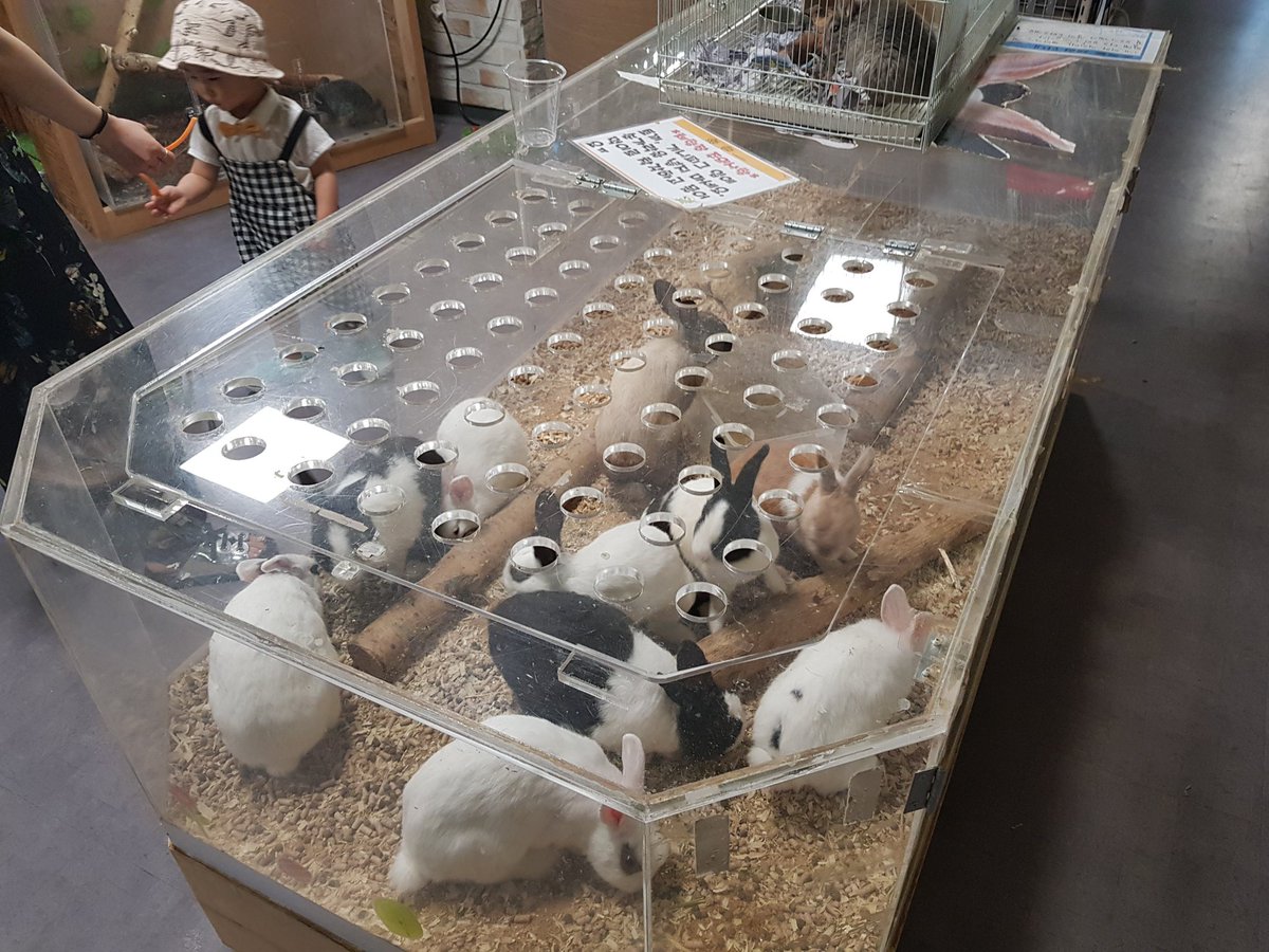동물 체험관에서 일어나는 학대 제보합니다 