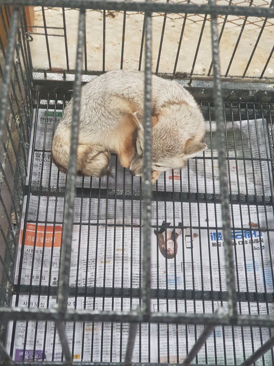동물 체험관에서 일어나는 학대 제보합니다 