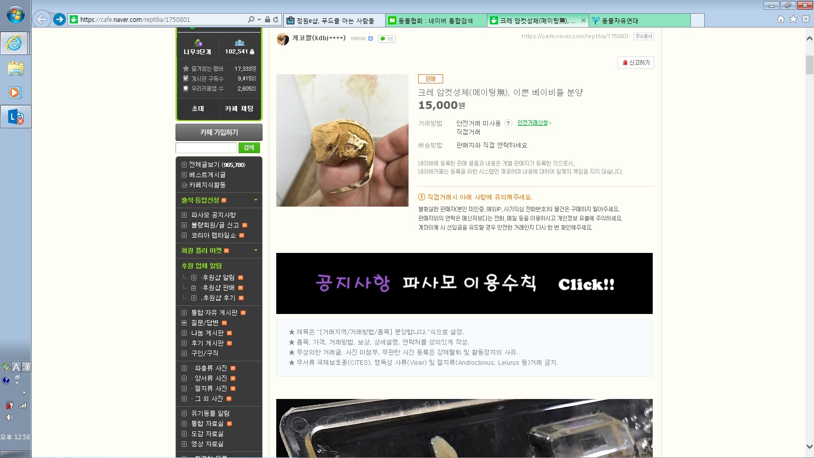 파충류 인터넷 판매