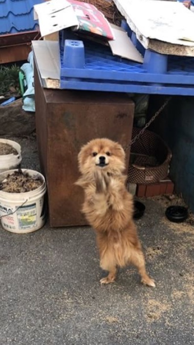 비닐하우스