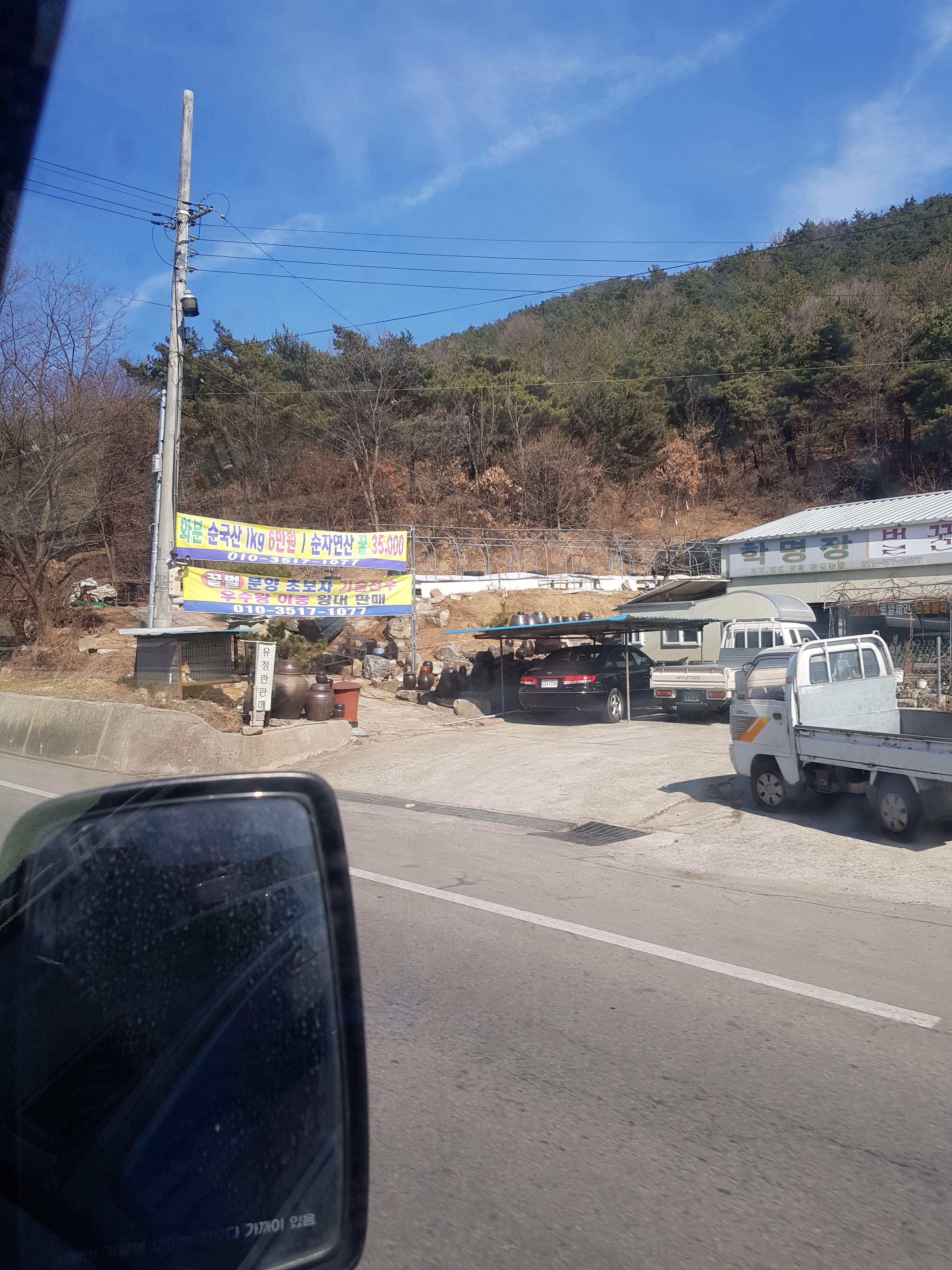 개를 키워 도살장에 파는 가게 신고