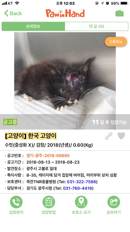 경기광주보호소에 학대추정 고양이들이 들어왔습니다