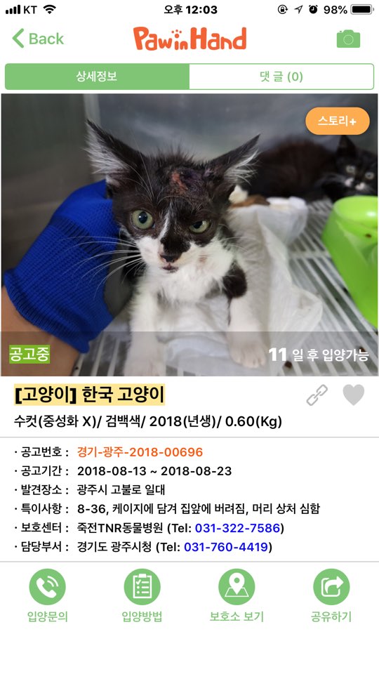 경기광주보호소에 학대추정 고양이들이 들어왔습니다