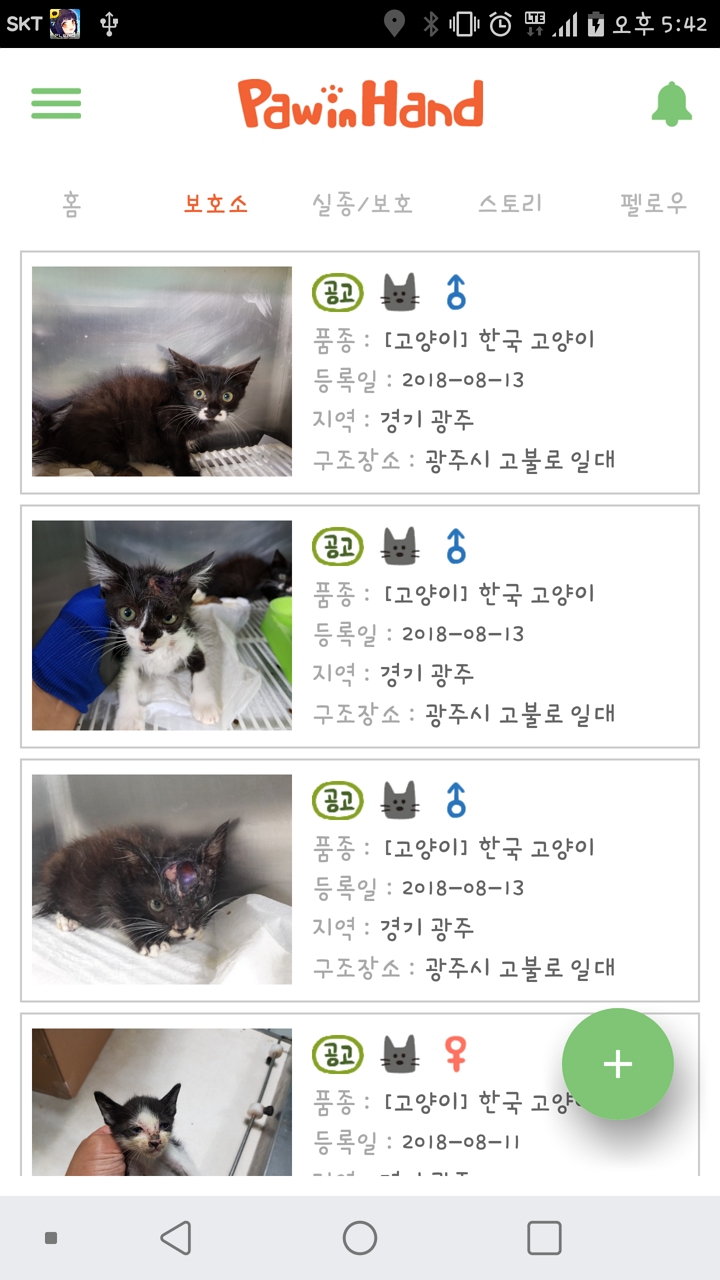 꼬물냥이의 머리를 불로 지진 것 같습니다.