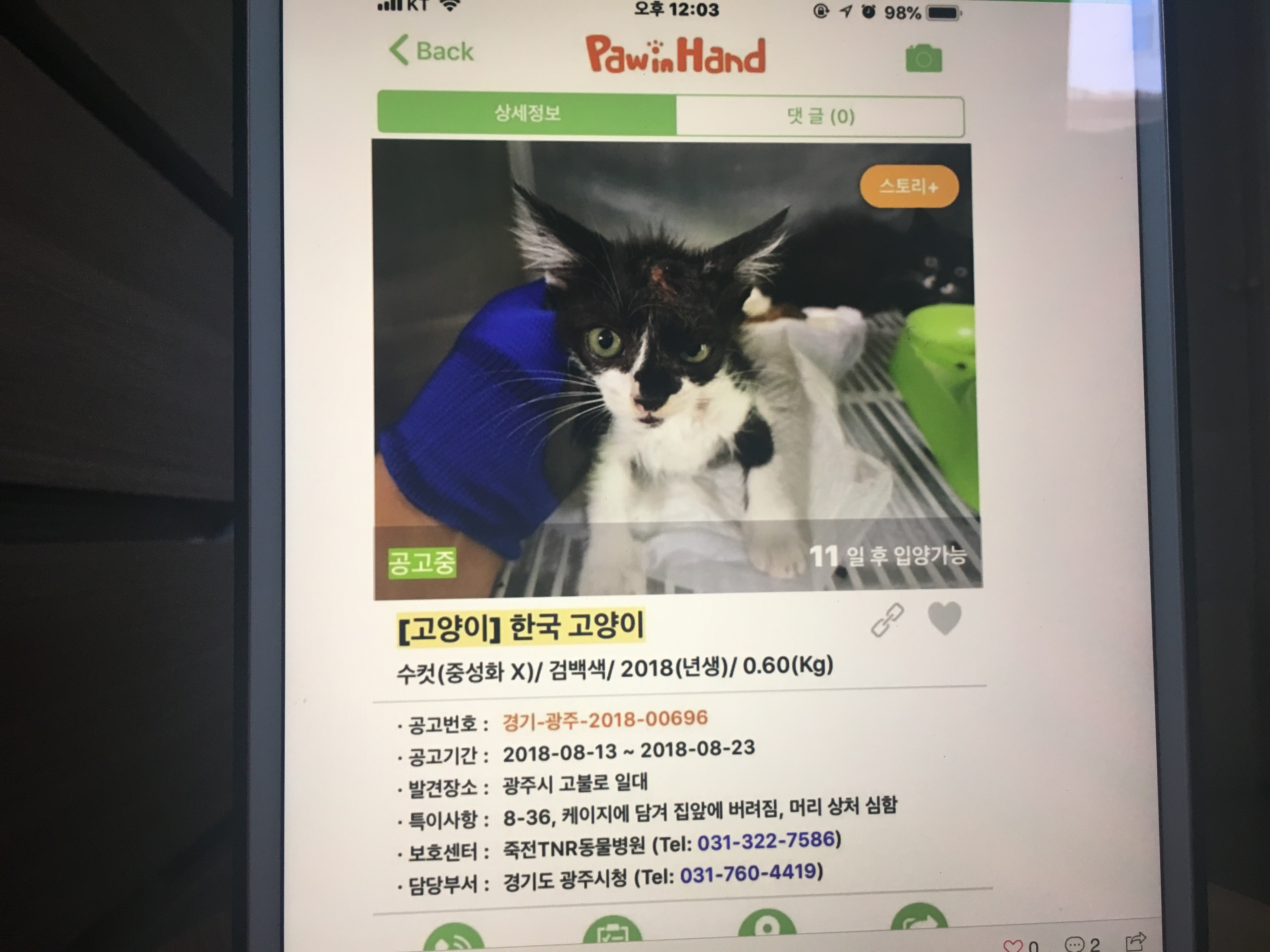 아깽이들 머리를 다리미로 지진 것 같답니다