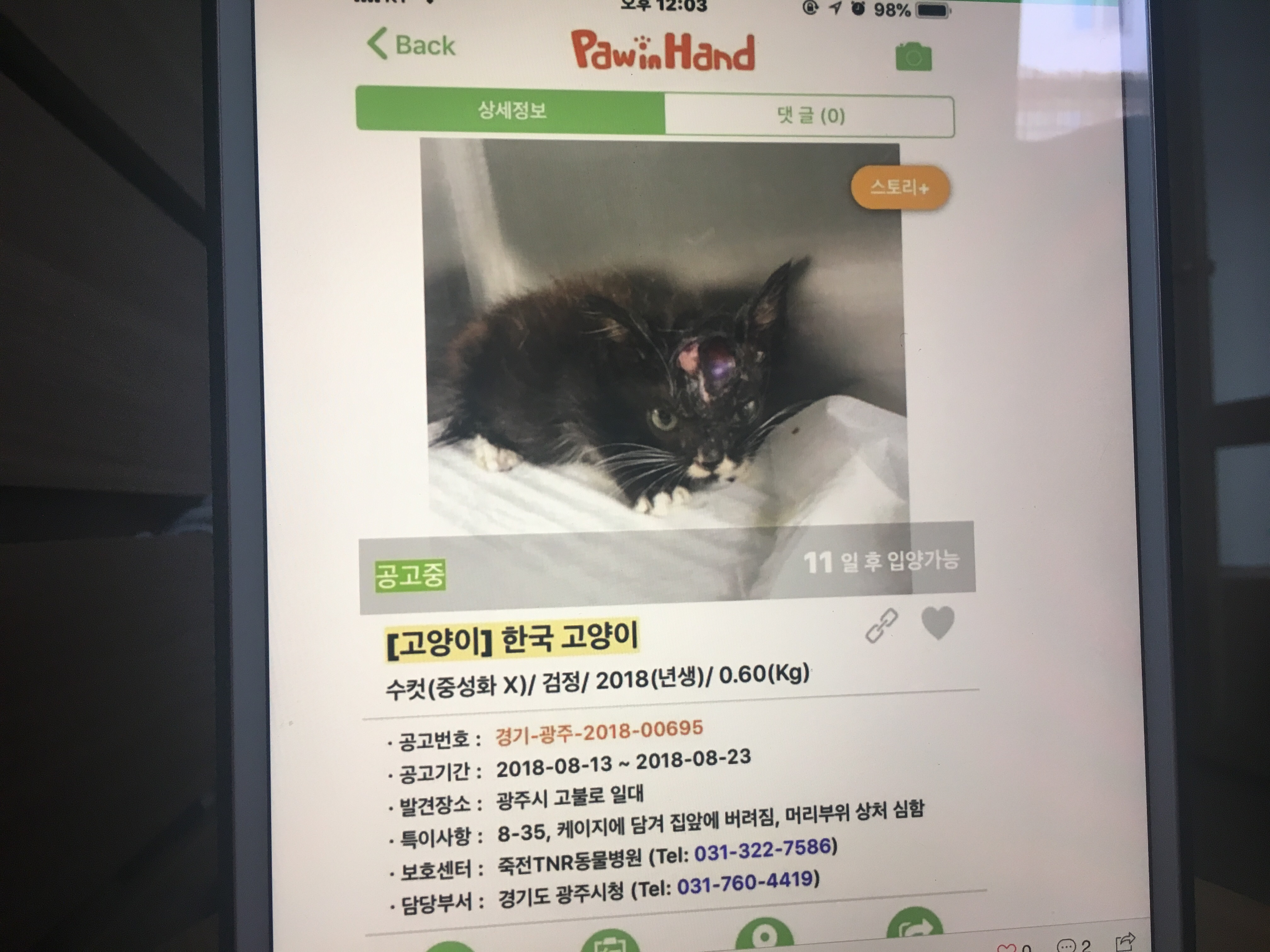 아깽이들 머리를 다리미로 지진 것 같답니다