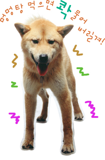순돌이가 하고싶은 말