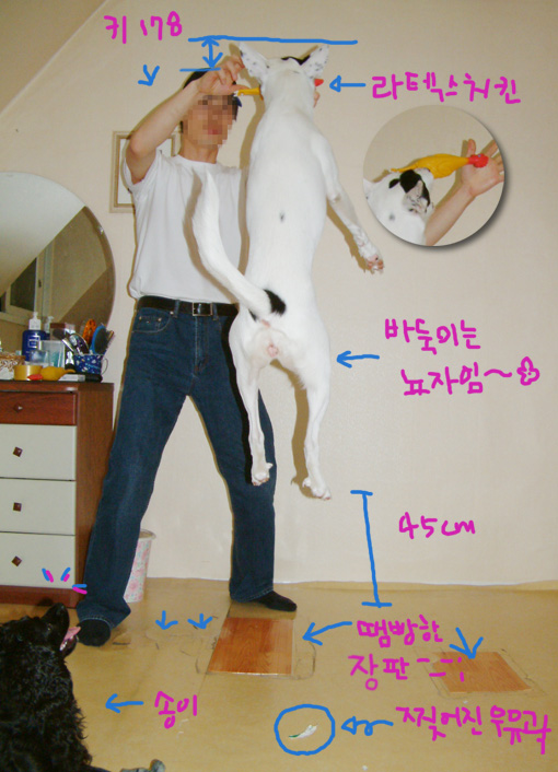 어메이징 바둑!