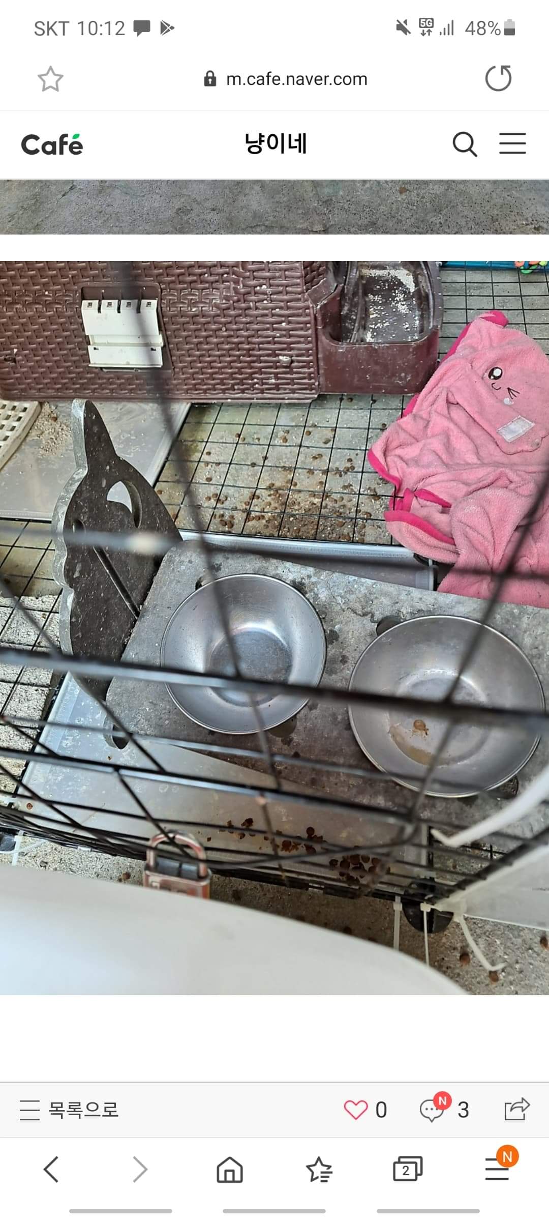 고양이 방치 및 불법환경 신고합니다