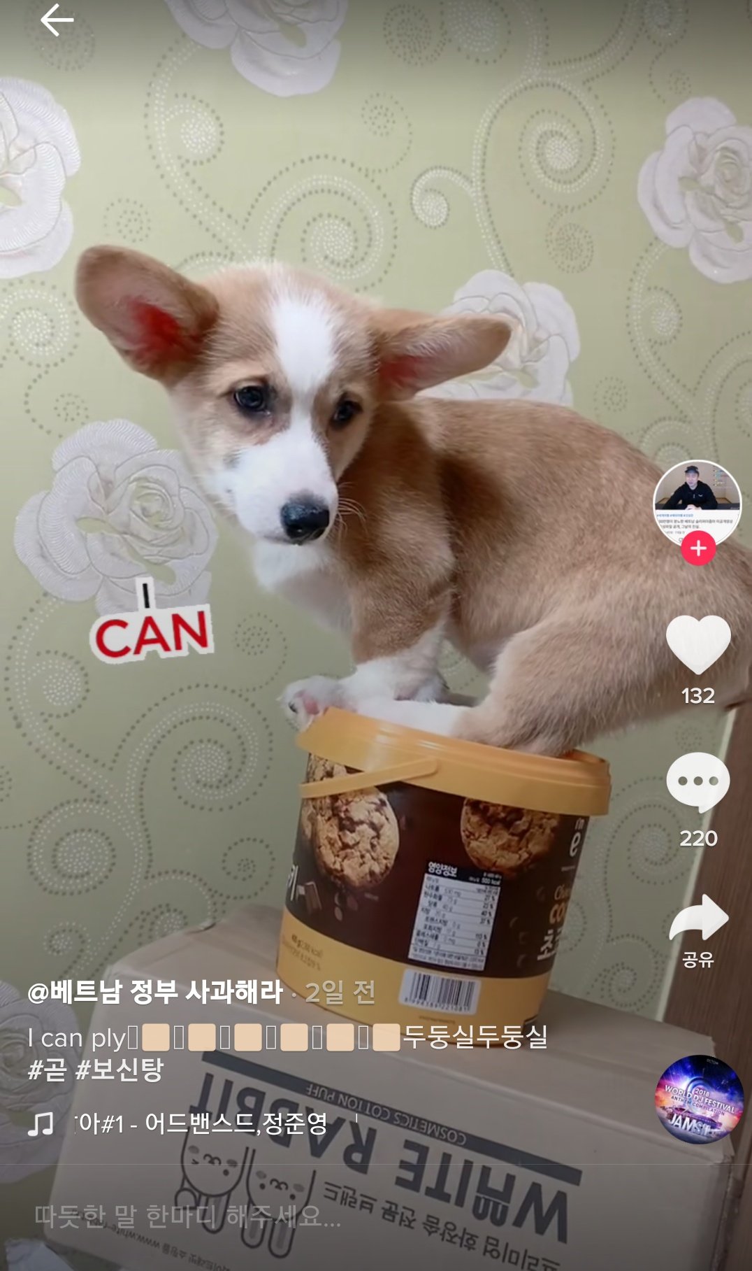 틱톡 컨텐츠 동물 학대.