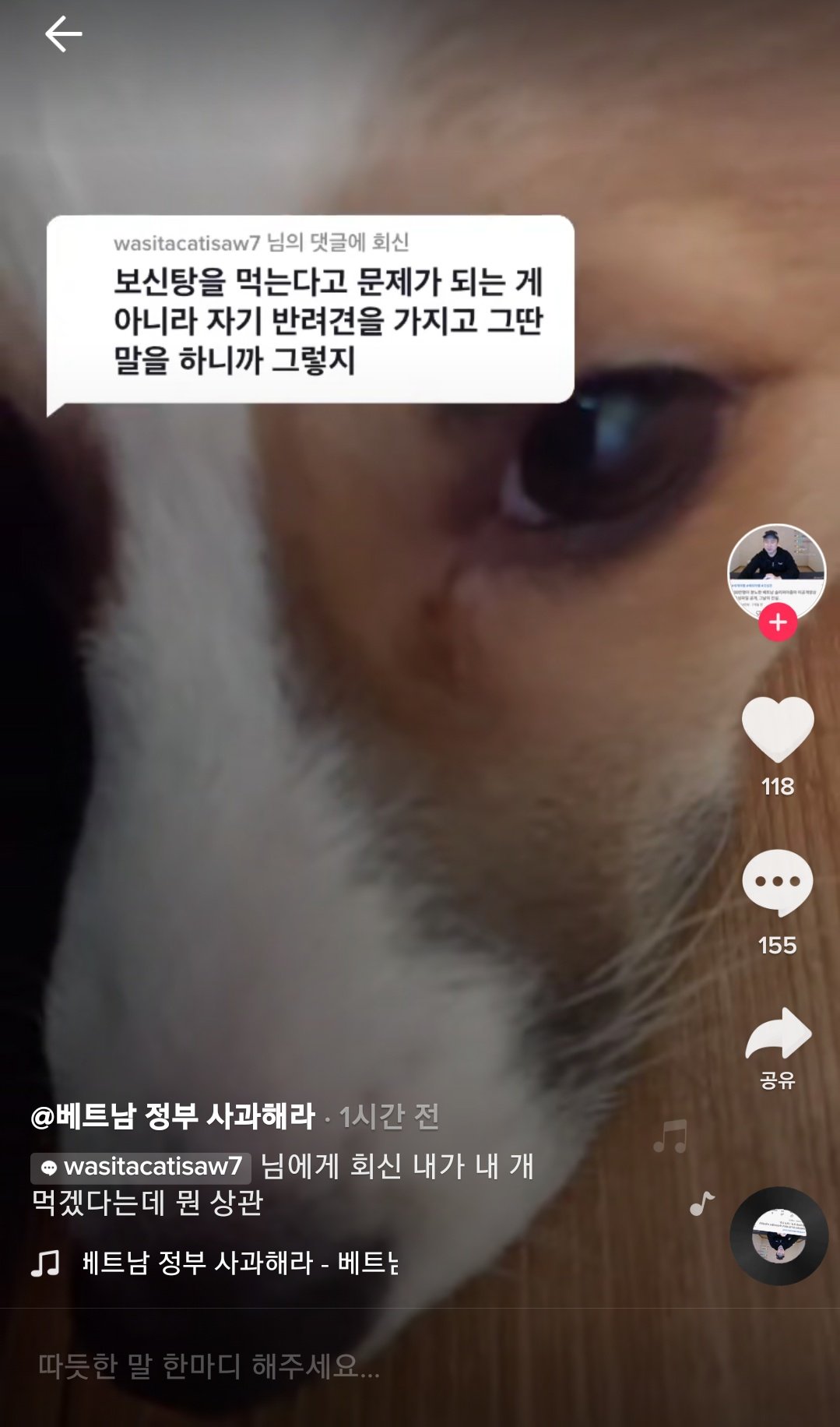 틱톡 컨텐츠 동물 학대.