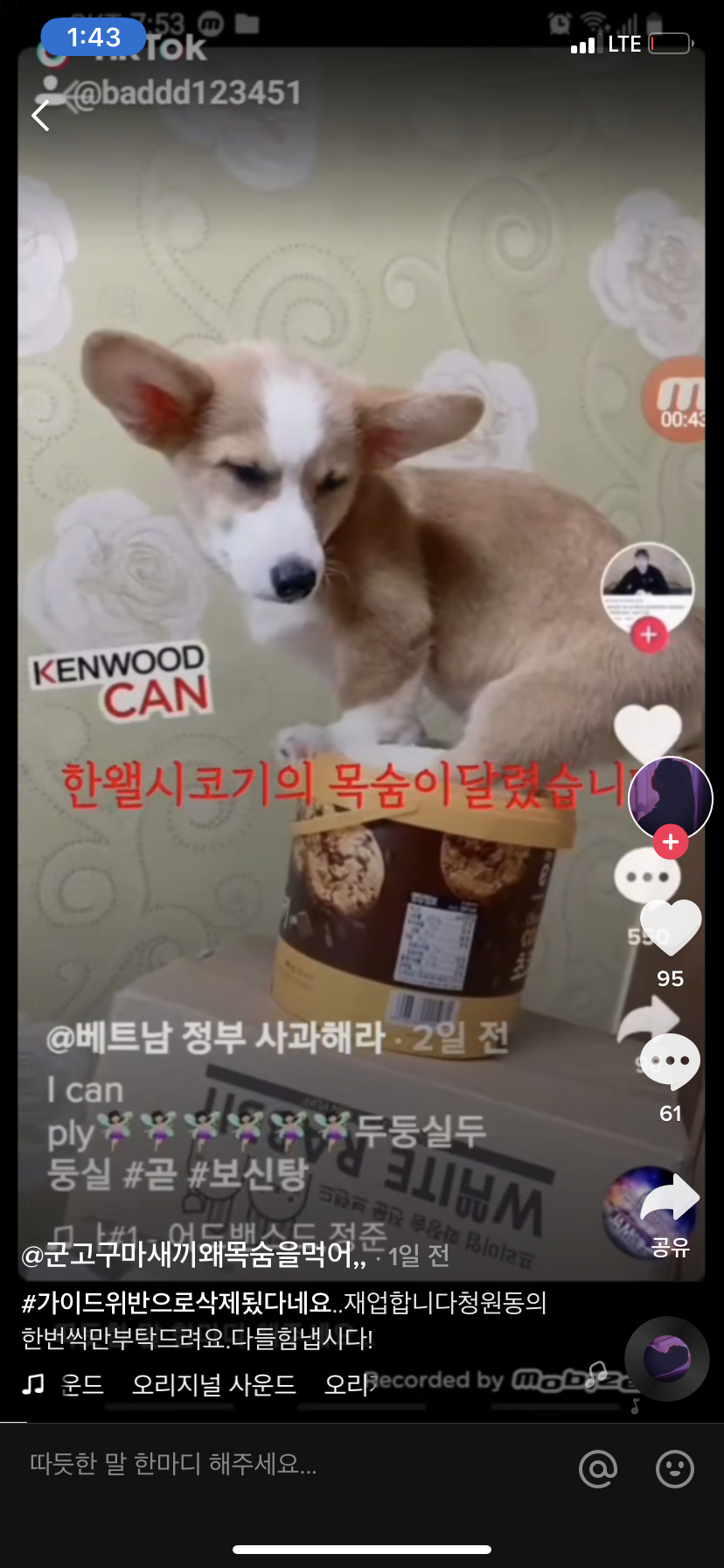강아지 학대