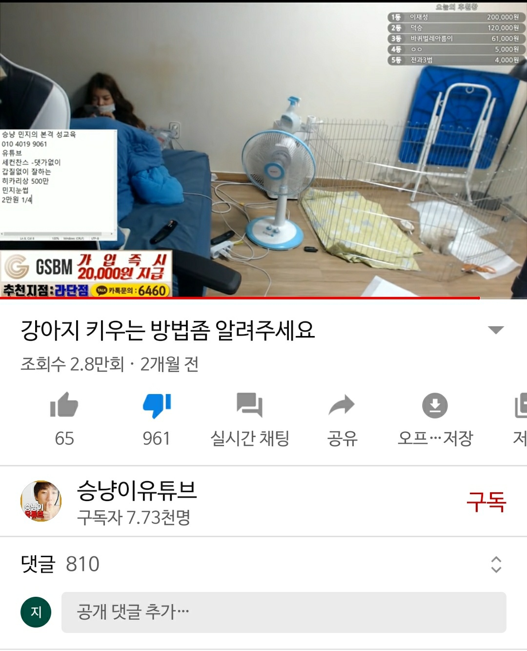 유튜버의 지속적 동물학대 신고