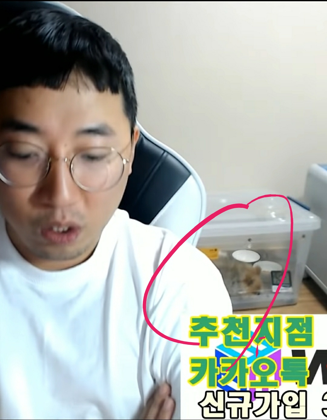 유튜버의 지속적 동물학대 신고