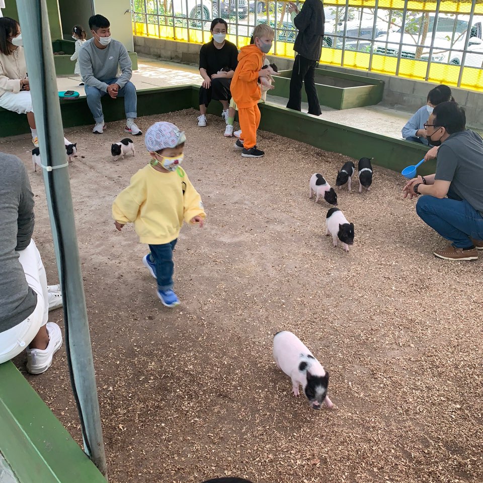 동물학대의심으로 제보드립니다.