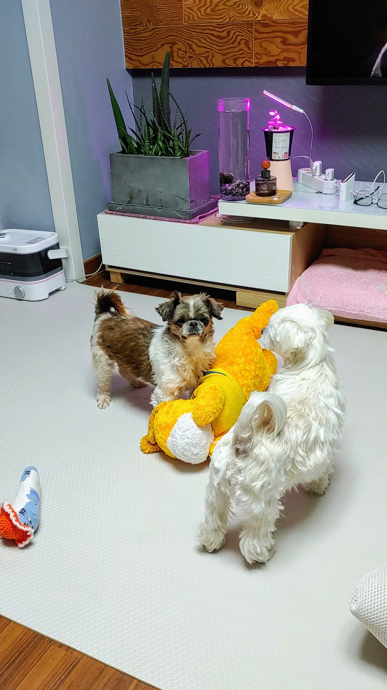 블레씽오브더월드와 세상의 모든복을 나눠요
