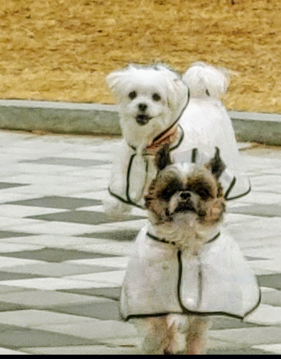 블레씽오브더월드와 세상의 모든복을 나눠요