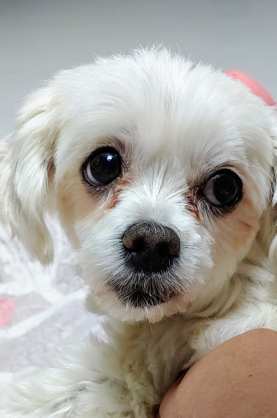 블레씽오브더월드와 세상의 모든복을 나눠요