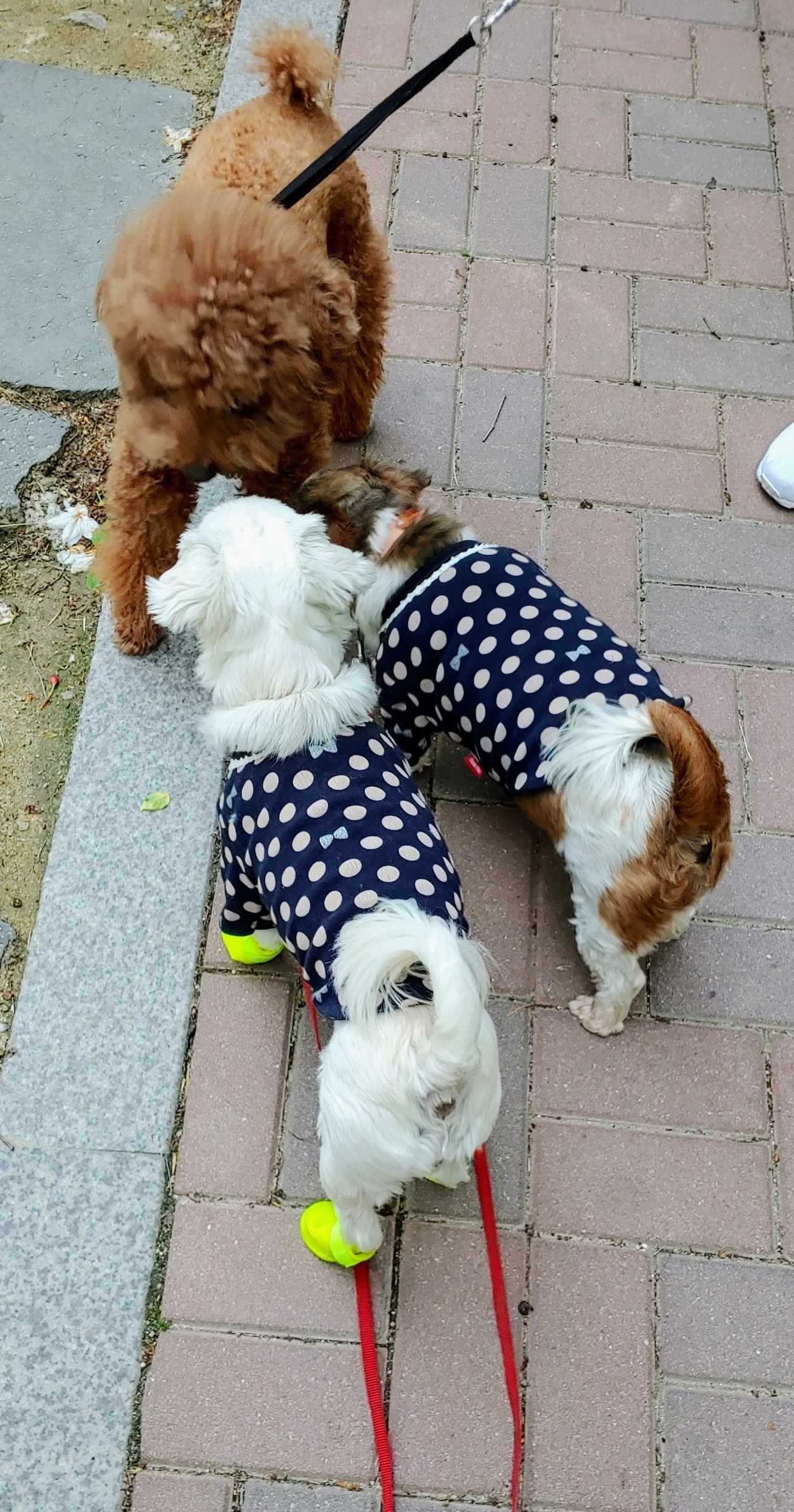 블레씽오브더월드와 세상의 모든복을 나눠요