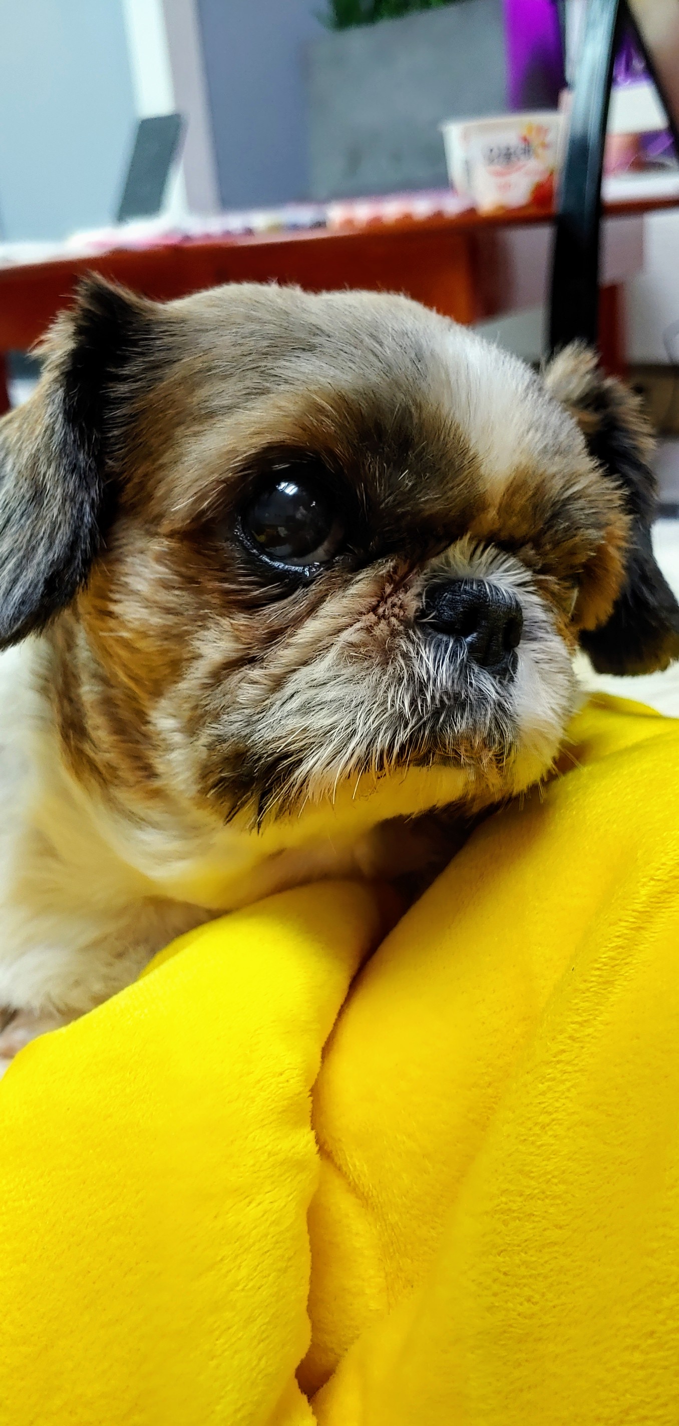 블레씽오브더월드와 세상의 모든복을 나눠요